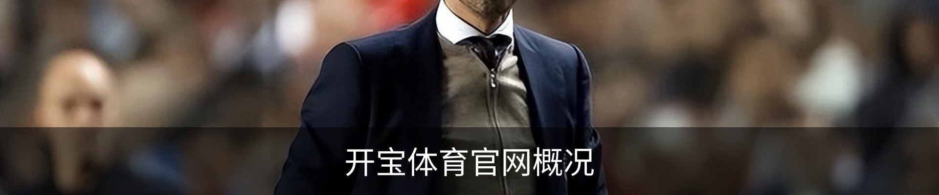 开宝体育官网概况