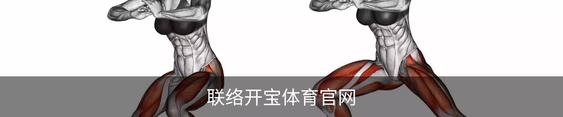 联络开宝体育官网